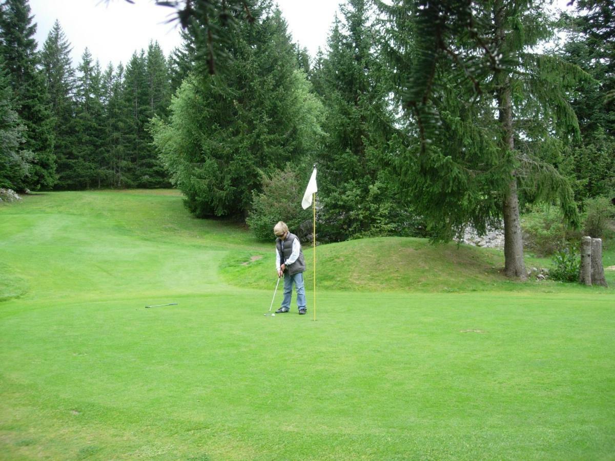 Haut De Chalet 6 P Villard De Lans Dış mekan fotoğraf